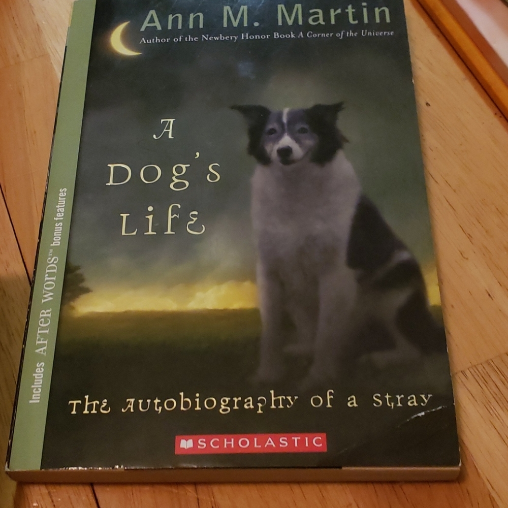 Book Bundle, several fron Scholastic